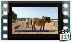 Reportage de France3 Reportage de France3